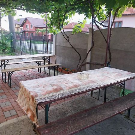 Casa Andreea Hotel Novaci-Străini Екстериор снимка